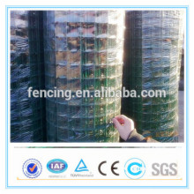 anping Green Plastic Coated Euro Fence (Factory price)